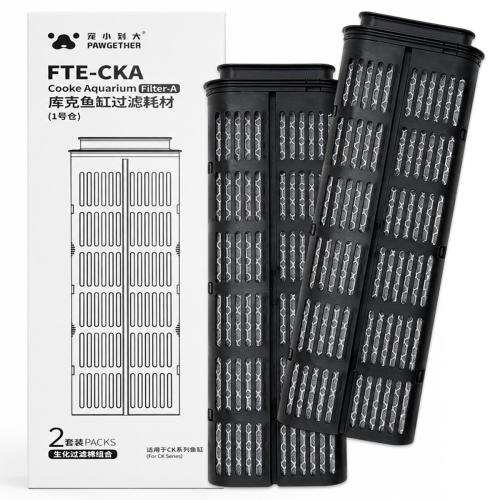 FTE-CKA