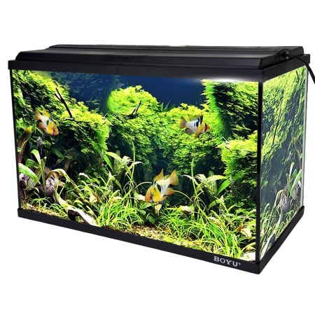 Аквариум Boyu FG-10 37 л с LED-лампой, черный​