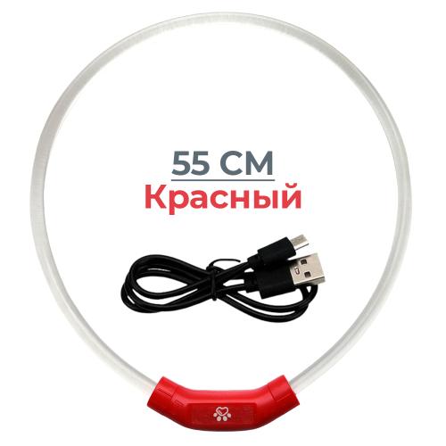 CTY-C3-M-Red