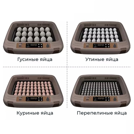 ***Инкубатор HHD 50 автоматический c универсальным поддоном для куриных, перепелиных, утиных, гусины