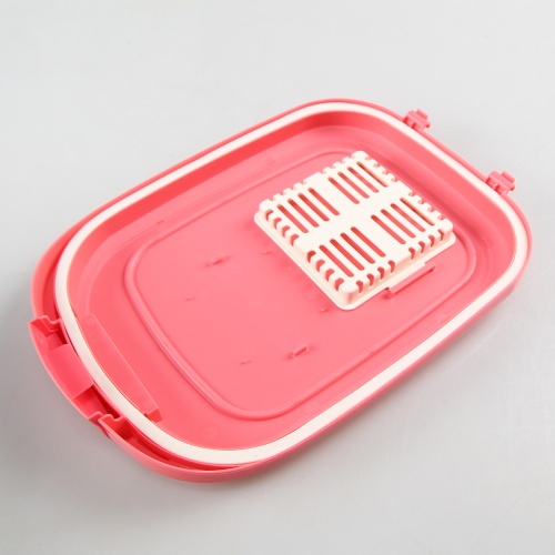 CF101-2-Pink_2