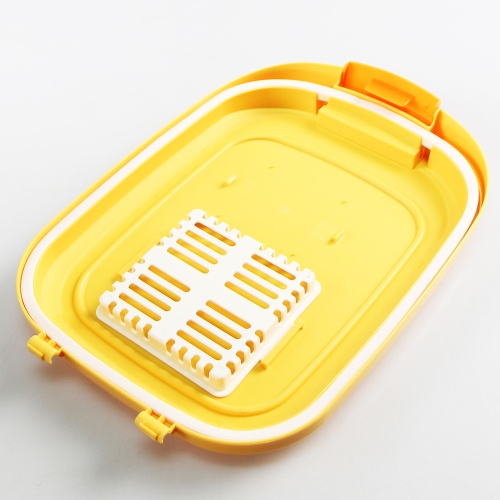 CF101-5-Yellow_3
