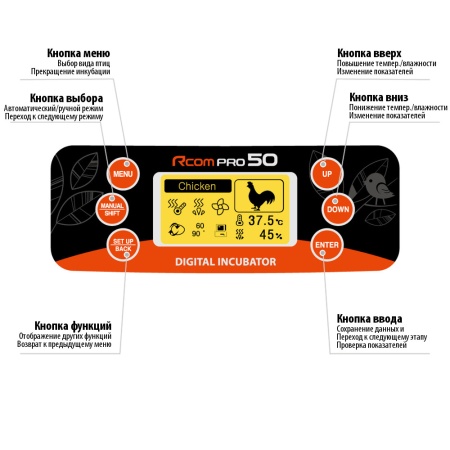 _Инкубатор Rcom 50 PRO