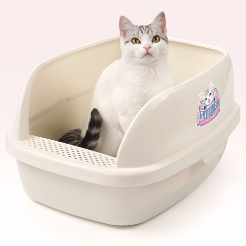 cl212-cream_2