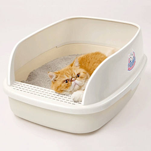 CL211-Cream_1