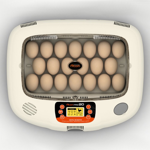 px-20_2