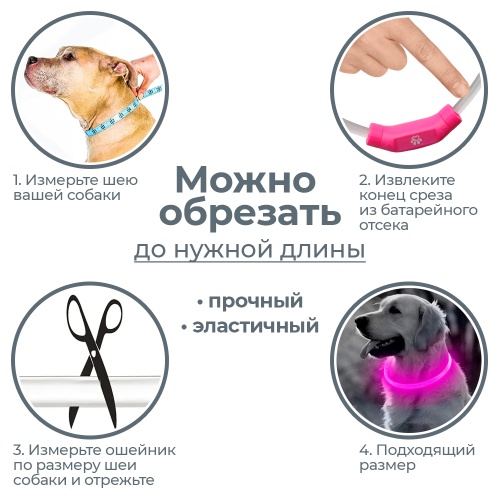 CTY-C3-M-Pink_2