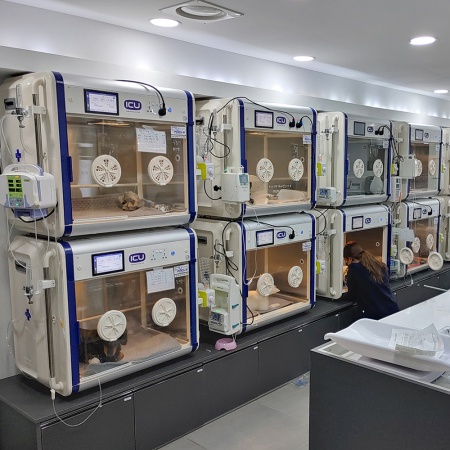 Брудер Curadle Smart Incubator MAX 160