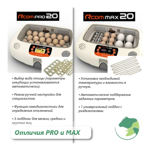 px-20_4
