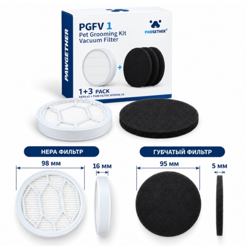 PGFV1_1