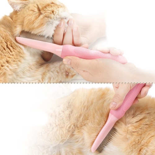 cg8-l-pink_1
