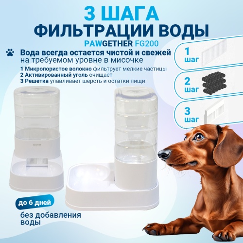 FG200_2