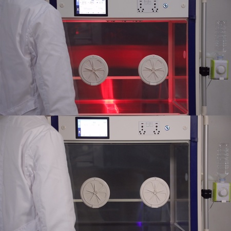 Брудер Curadle Smart incubator PRO PLUS 160 с IP-камерой