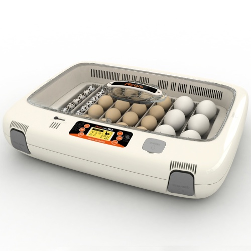 px-50_1