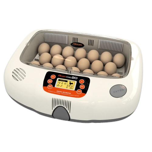 px-20